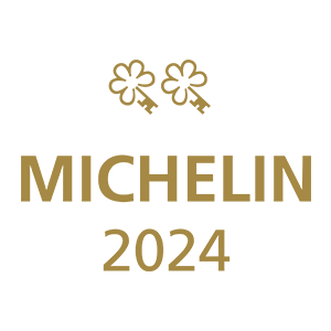 logo michelin